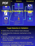 The Drug Discovery Process: Studies of Disease Mechanisms