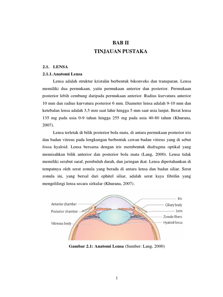 Steroid Induced Cataract Pdf