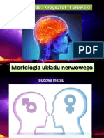 Mofologia Ukadu Nerwowego PDF
