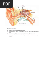 Fungsi Gendang Telinga