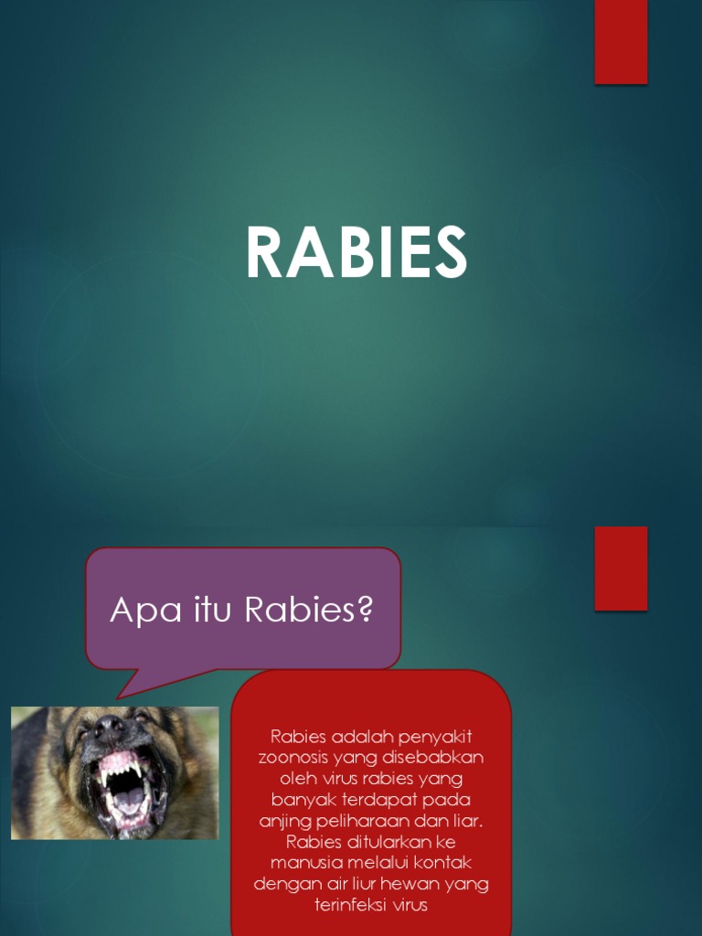 Panduan Lengkap tentang Rabies dan Pencegahannya | PDF | Kesehatan Holistik