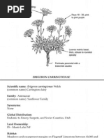 Download Erigeron carringtoniae  Utah Rare Plants by Friends of Utah Rare Plants SN35619359 doc pdf