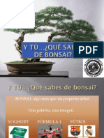 Curso Bonsais2010 Quesabesdelbonsai D PDF