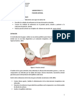 1 - Guía Punción Arterial.pdf