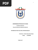 PRACTICAS PRE PROFESIONALES final.pdf