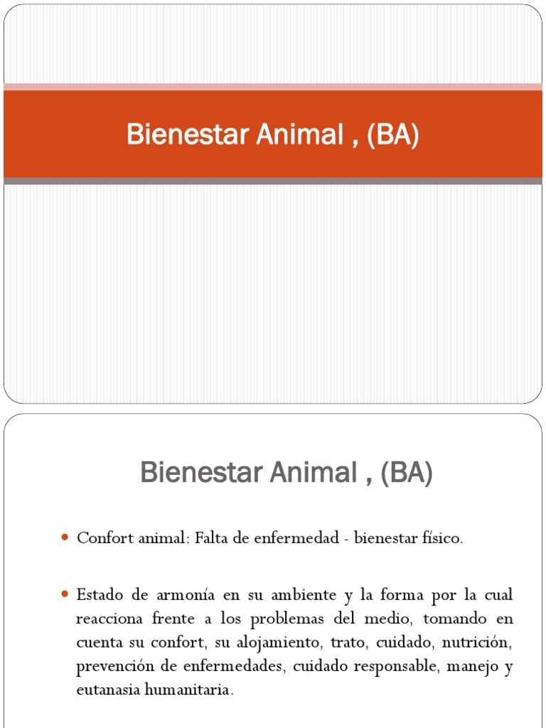 Bienestar Animal en Bovinos: Prácticas Clave | PDF | Bienestar de los ...