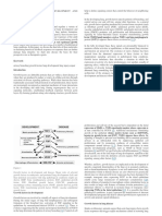 Growth Factors in Lung Development