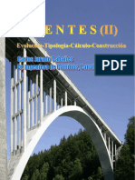 LibroPuentesII PDF