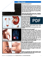 Batu Ginjal - MedicineNet PDF