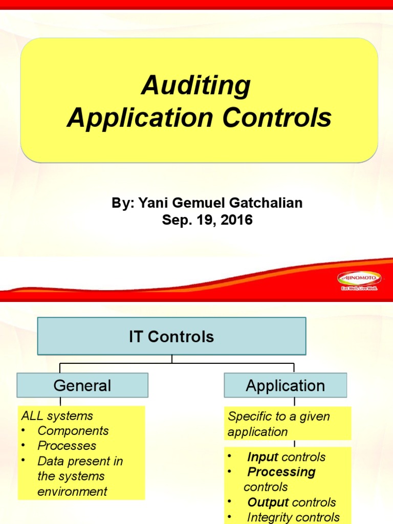 Auditing Application Controls Computing Computers