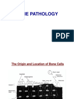 bone tumor.ppt