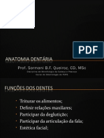 Anatomia Dentária 2011