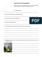 flipped learning photosynthesis