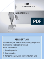 Fibronectin PPT IHC Kelompok 2