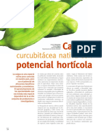 caigua_horticola (1).pdf