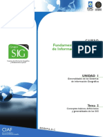 Conceptos Basicos Sig PDF