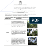 InformeSalidaMusaceasBOLO PDF