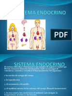 Endocrino