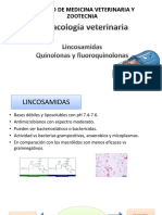 Medicina Veterinaria: Lincosamidas, Quinolonas y Fluoroquinolonas 