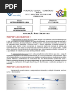 Ad1 Economia - Victor Ribeiro Lima