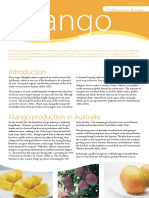 10-127 - Cs20-Mango-Web PDF
