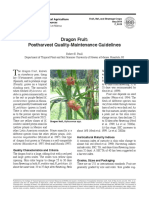 dragon fruit.pdf