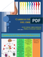 Expo Cambios Fisiologicos