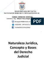 03 Naturaleza Jurídica Del Der Judicial