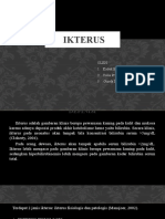 IKTERUS Interna