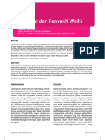 MEDICAL REVIEW Leptospira Dan Penyakit Weil S PDF