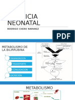 Ictericia Neonatal 