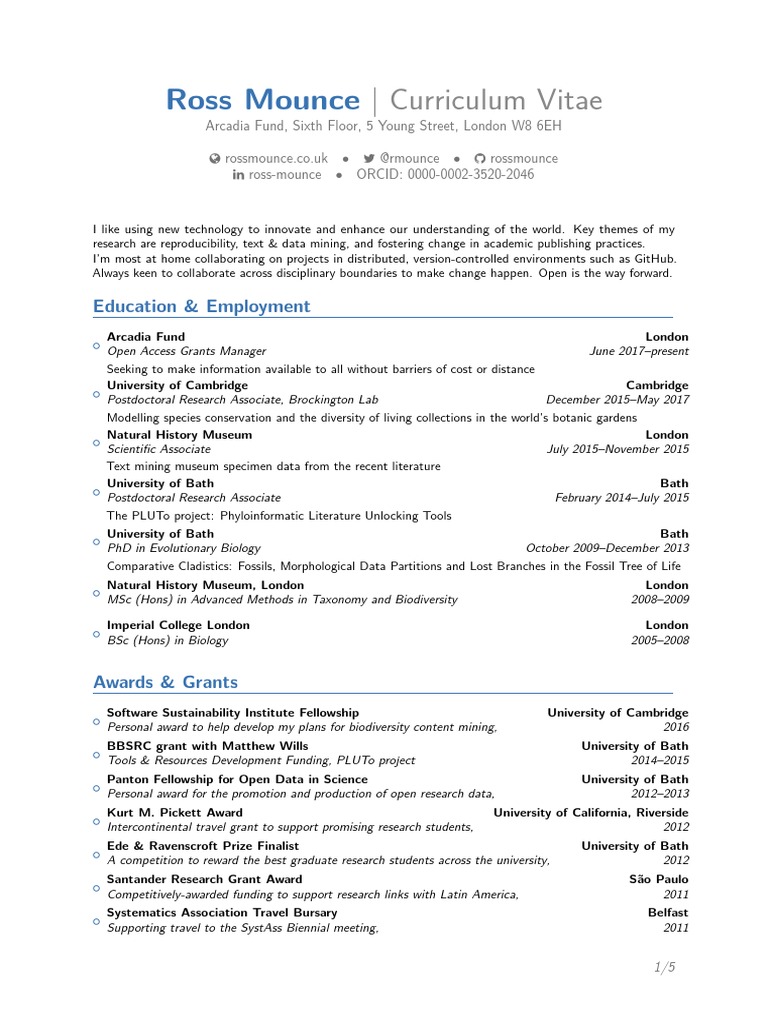 Curriculum vitae template google docs picture