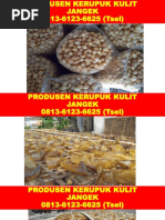 Download 0813-6123-6625 Tsel kerupuk kulit obat diare kerupuk kulit obat mencret obat maag kerupuk kulit by Produsen Jangek SN356363216 doc pdf