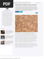 Chris Jordan - El Fotografo Verde Por Excelencia