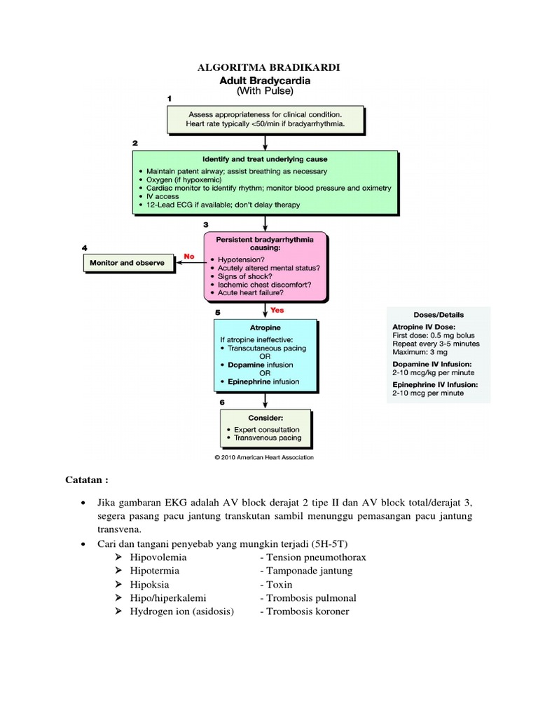 Algoritma Bradikardi | PDF