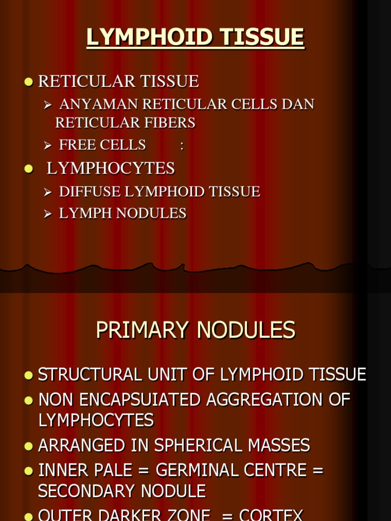 Overview of Lymphoid Tissue Structure | PDF | Lymph Node | Lymphatic System