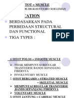 Classification: Berdasarkan Pada Perbedaan Structural Dan Functional Tiga Types