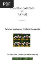 COGUMELOS COMESTÍVEIS