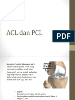 ACL Dan PCL