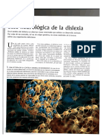 Base neurológica de la dislexia.pdf