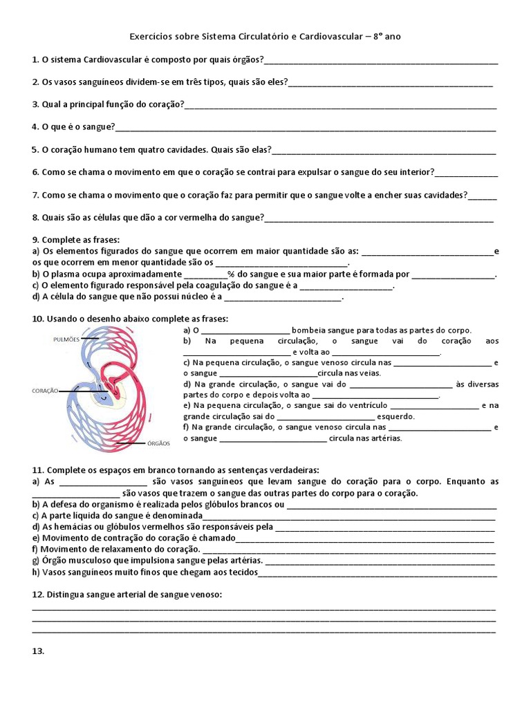 Exercícios Sobre O Sistema Cardiovascular 8o Ano