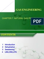 Chapter 7 Natural Gas Processing V1