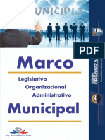 Diseño Organizacional Organización Municipal - PERÚ