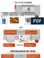 Importancia y Uso de La Sacarosa