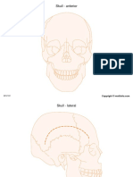 Toolkit Anatomy 02 Head Neck