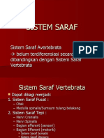 Sistem Saraf