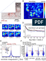 Correlation between traction forces and lag time in cells