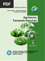 Download Kelas 10 SMK Agribisnis Tanaman Sayuran 1 by QichenkSlathems SN356405151 doc pdf