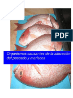 Microbiologia en Pescados y Mariscos PDF