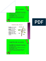 Escribimos El Número Que Representa El Ciclo de Crecimiento de La Planta